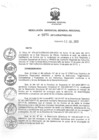 Vista preliminar de documento RGGR_271_2013.pdf