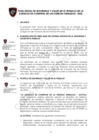 Vista preliminar de documento Anexo-PLAN ANUAL DE SEGURIDAD Y SALUD EN EL TRABAJO DE LA ACFFAA 2022