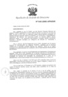 Vista preliminar de documento RAD N° 040-2008-APN-DIR.pdf