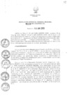 Vista preliminar de documento RGGR_228_2013.pdf