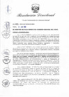 Vista preliminar de documento RD-131-2022