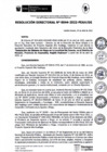 Vista preliminar de documento rd044_2022.pdf