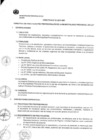 Vista preliminar de documento DIRECTIVA N° 0001-2017-MPI
