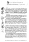Vista preliminar de documento RG_215_2022.pdf