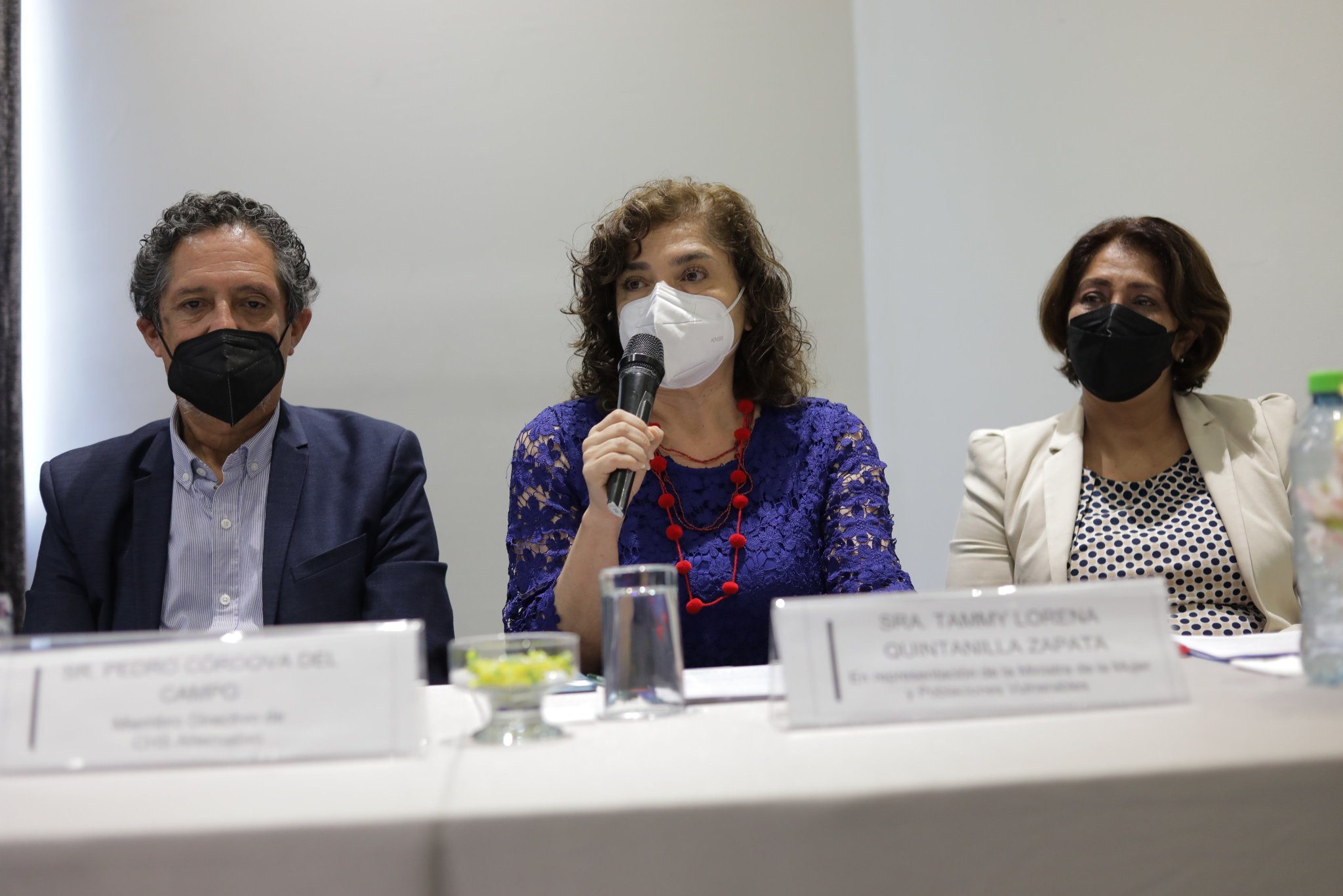 MIMP y CHS alternativo capacita a profesionales para la protección a niñas, niños y adolescentes 