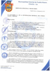 Vista preliminar de documento Ordenanza Municipal N° 009-2017/MDPN