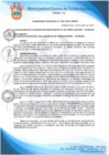 Vista preliminar de documento Ordenanza Municipal N° 001-2021/MDPN