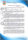 Vista preliminar de documento Ordenanza Municipal N° 003-2021/MDPN
