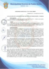 Vista preliminar de documento Ordenanza Municipal N° 017-2021/MDPN