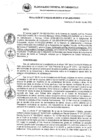 Vista preliminar de documento RG_231_2022.pdf