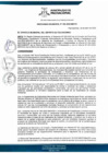 Vista preliminar de documento Ordenanza Municipal N° 292-2022-MDP