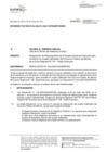 Vista preliminar de documento RES 059-2022-SUNARP-SN  INFORME TECNICO N° 135-2022-SUNARP-OGRH