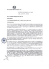 Vista preliminar de documento AC 133 28.04.2022.pdf