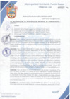 Vista preliminar de documento Resolución de Alcaldía N° 0307-2017/MDPN