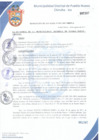 Vista preliminar de documento Resolución de Alcaldía N° 0311-2017/MDPN