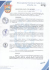 Vista preliminar de documento Resolución de Alcaldía N° 0324-2017/MDPN