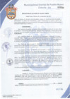 Vista preliminar de documento Resolución de Alcaldía N° 0335-2017/MDPN