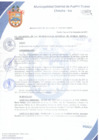 Vista preliminar de documento Resolución de Alcaldía N° 0349-2017/MDPN
