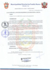 Vista preliminar de documento Resolución de Alcaldía N° 0990 al N° 1002-2018/MDPN
