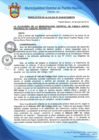 Vista preliminar de documento Resolución de Alcaldía N° 0445-2019/MDPN