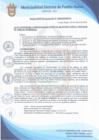 Vista preliminar de documento Resolución de Alcaldía N° 0060-2020/MDPN