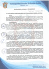 Vista preliminar de documento Resolución de Alcaldía N° 0081-2020/MDPN