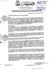 Vista preliminar de documento AC N°10.pdf