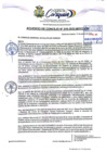 Vista preliminar de documento AC N°16.pdf