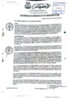 Vista preliminar de documento AC N°17.pdf