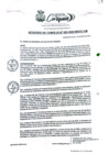 Vista preliminar de documento AC N°22.pdf