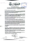 Vista preliminar de documento AC N°25.pdf