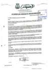 Vista preliminar de documento AC N°28.pdf