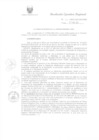 Vista preliminar de documento R.E.R. Nro 102-2022-GR-GR PUNO.pdf