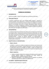 Vista preliminar de documento Servicio de Análisis y Diseño de Software para los Sistemas Electorales