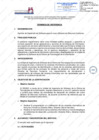 Vista preliminar de documento Servicio de Desarrollo de Software para el nuevo Sistema de Recursos Humanos.