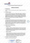 Vista preliminar de documento Servicio de Desarrollo de Software para mejorar los Sistemas Administrativos