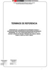 Vista preliminar de documento TDR