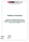 Vista preliminar de documento TDR