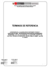 Vista preliminar de documento TDR