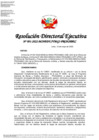 Vista preliminar de documento RDE n.º 91-2022-MINEDU-VMGI-PRONABEC