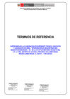 Vista preliminar de documento TDR