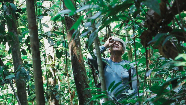 El OSINFOR realizó un taller para titulares de títulos habilitantes de Ucayali, Madre de Dios y San Martín sobre  derechos y obligaciones para una adecuada gestión forestal.