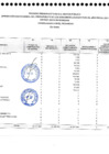Vista preliminar de documento PIA 2021-8