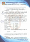 Vista preliminar de documento Resolución de Gerencia Municipal N° 0161-2022/MDPN