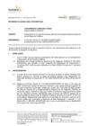 Vista preliminar de documento RES 063-2022-SUNARP-SN INFORME No 00380-2022-SUNARP-OAJ