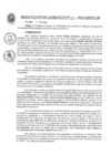 Vista preliminar de documento Resolución de Gerencia N° 105-2019-MPCP-GM