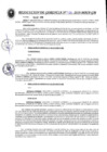 Vista preliminar de documento Resolución de Gerencia N° 480-2019-MPCP-GM