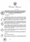 Vista preliminar de documento D.S. N° 007-2019-IN (Apruébase el Reglamento del D.L. 1338, que crea el Registro Nacional de Equipos Terminales para la Seguridad)