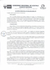 Vista preliminar de documento ACUERDO REGIONAL Nro 0163 - 2019-GRU-CR.