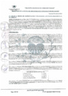 Vista preliminar de documento ROAF-065-2022-MDI.pdf